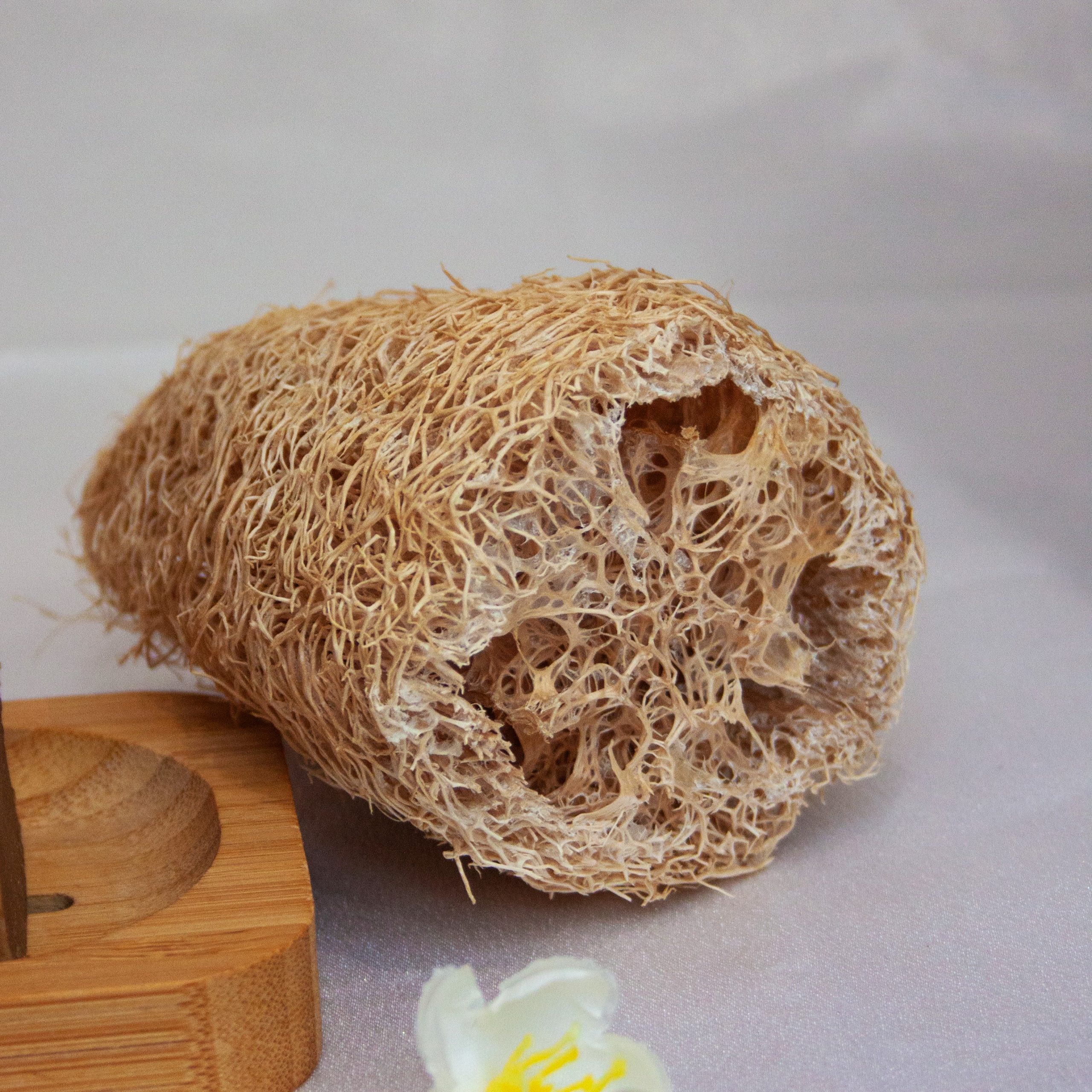 Loofa naturel
